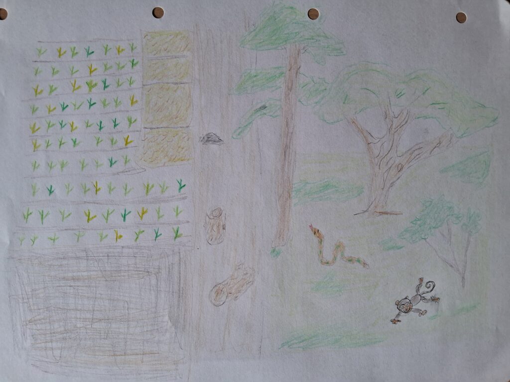 Benjamin Wiertz: plantagenbaustattregenwald (Junior)