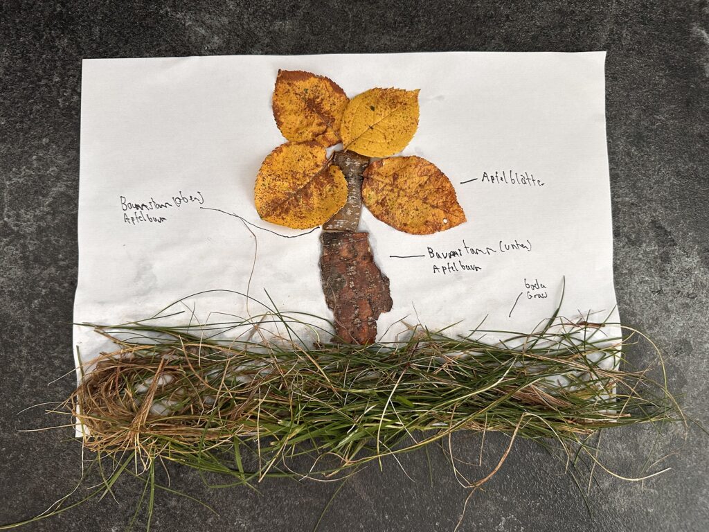 Julius Kerker: Der Apfelbaum (Junior)