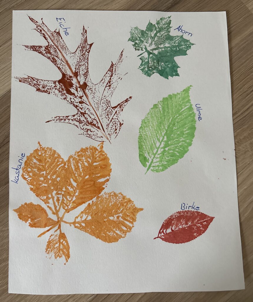 Sophia Hillringhaus: Mein Spaziergang (Juniorin)