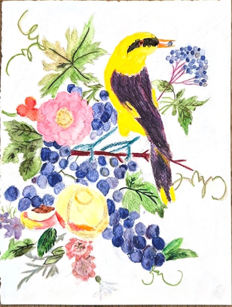 Emma Schäfer: Pirol (Juniorin)