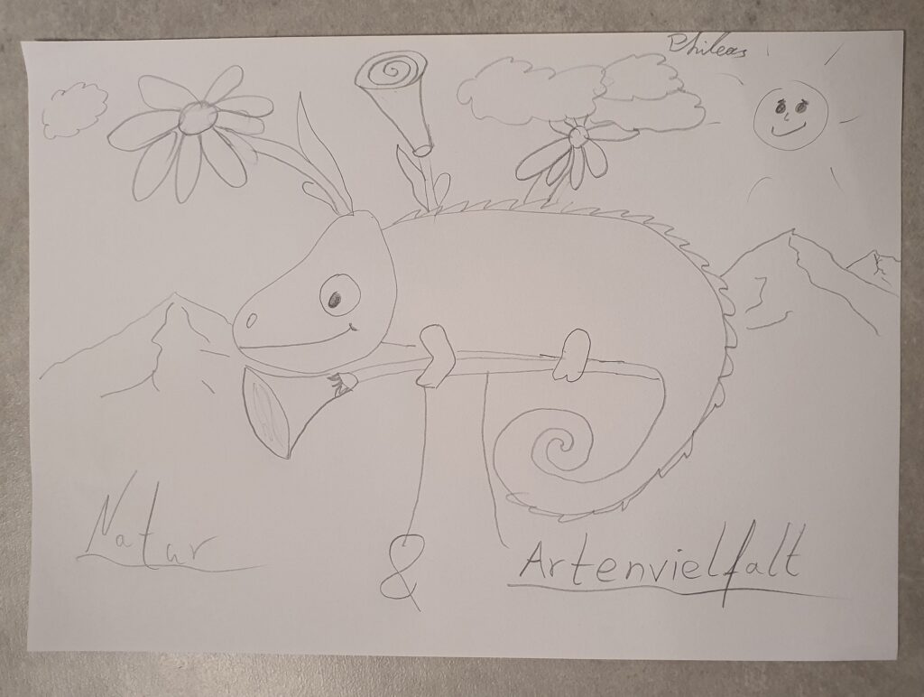 Phileas Länger: Chamäleon, Blumen und Berge (Junior)