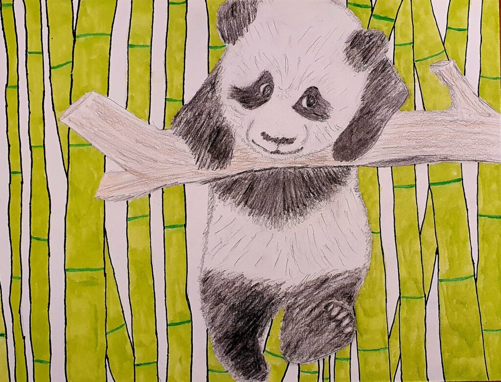David Engelke: Baby Panda (Junior)