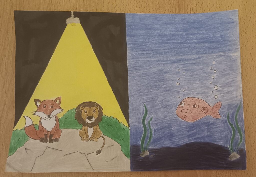 Konstantin Rein: Flagship species (Junior)