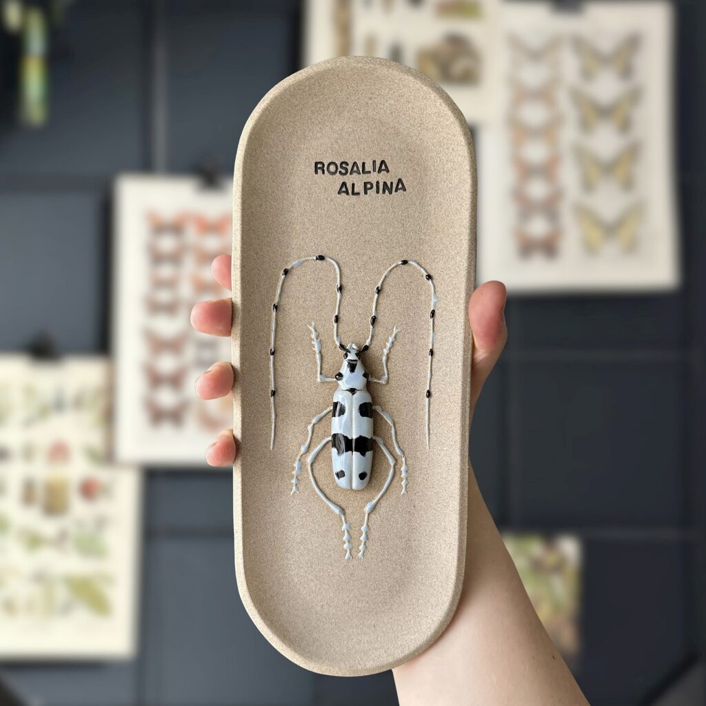 Lisa Lehmann: Zeuge des stillen Rückgangs