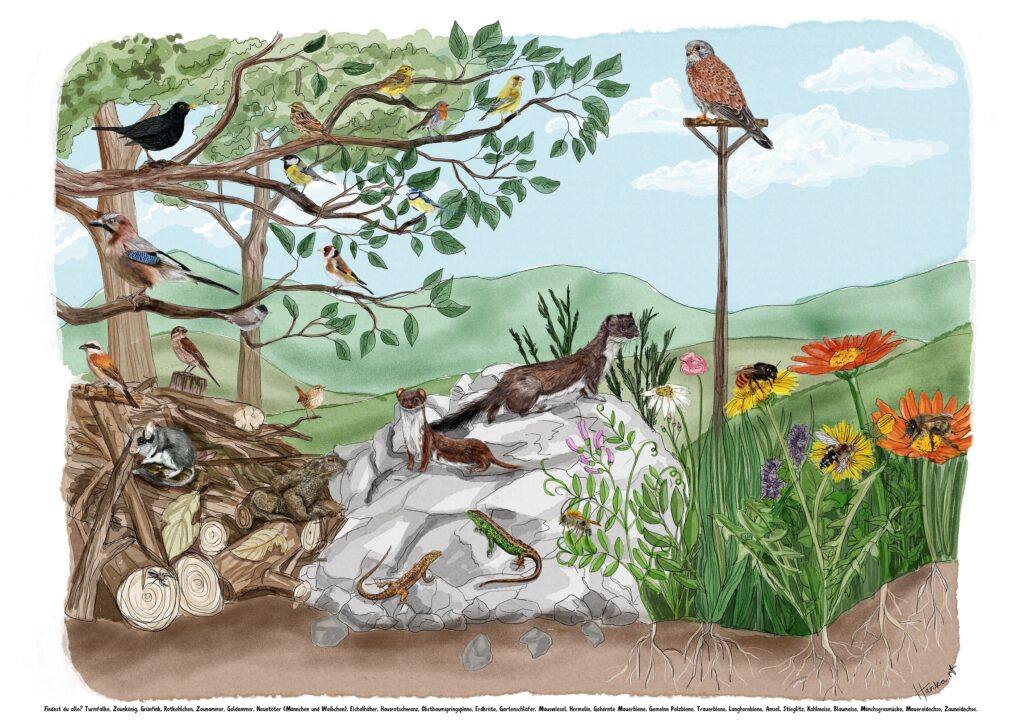 Hanka Kunert: Struktur schafft Vielfalt