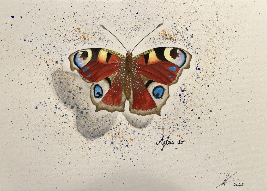 40_Asude_Demir_EinTagKindheitMitAglais_io_2025_2798x2000