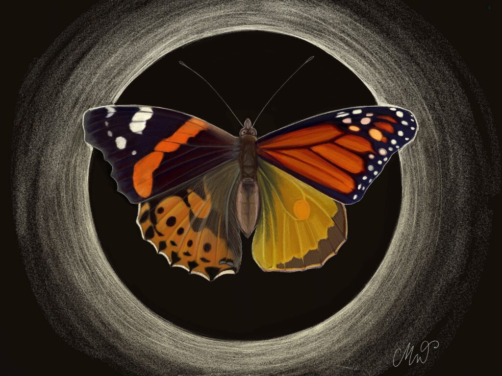 Mandy Wippich: vielfalter